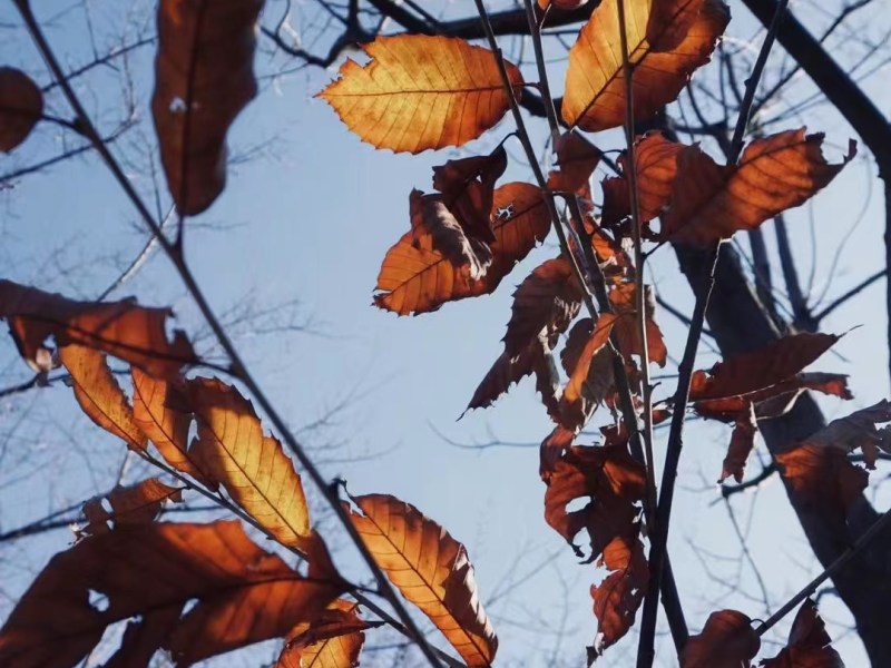 Perché non scrivi&nbsp;più?