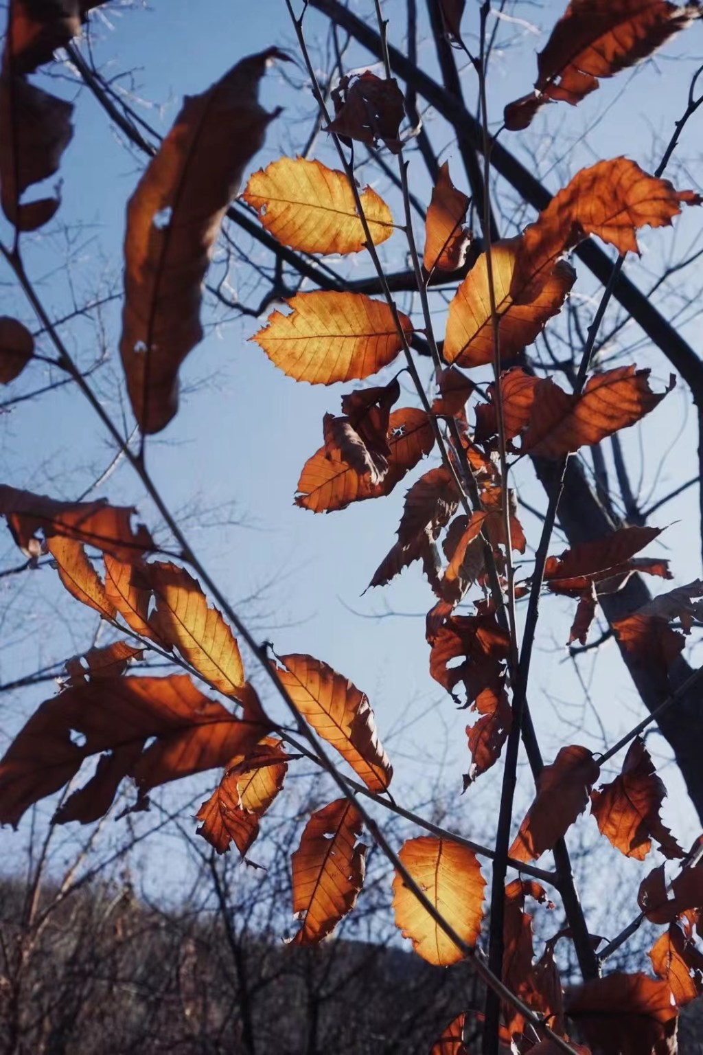 Perché non scrivi&nbsp;più?